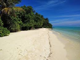 AA.THODHOO